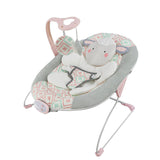 Small pacakage & easy setup Cozy Bouncer for 0-6 Months infanti